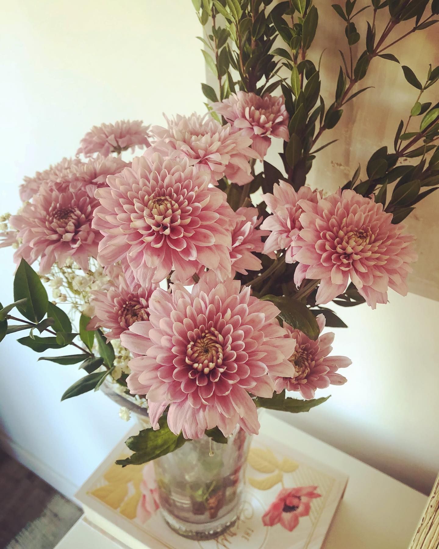 Athenas Garden Co business image in Langley City, British Columbia