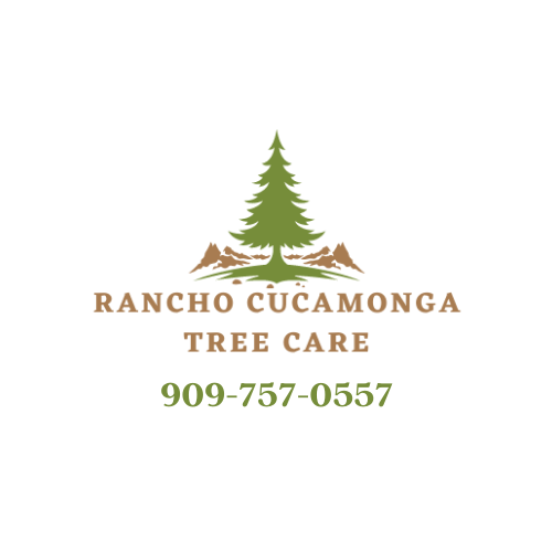 Rancho Cucamonga Tree Care business image in Colton, California