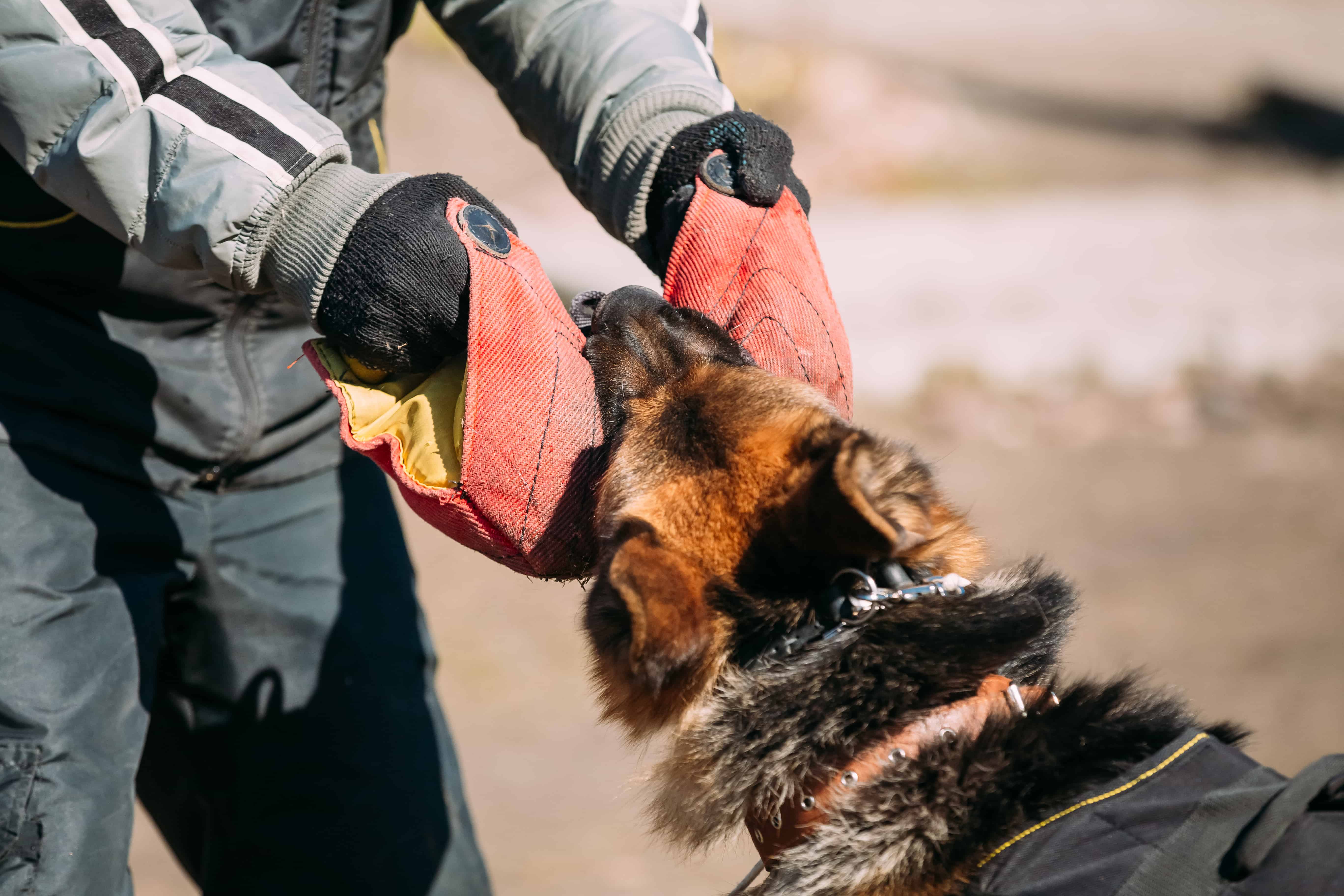 Sevilla & Associates Tus Abogados de Accidentes business image in San Diego, California